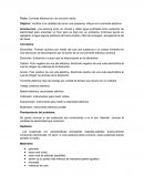 Conduccion salina