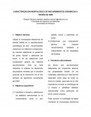 CARACTERIZACIÓN MORFOLÓGICA DE RECUBRIMIENTOS CERÁMICOS A TRAVÉS DE SEM