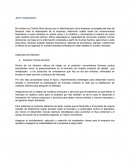 Flujos ANALISIS DE RIESGO