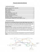 Proceso de atencion de enfermeria PARTO