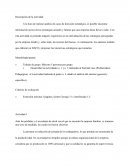 Caso práctico: Lladró: una empresa familiar con una marca de prestigio
