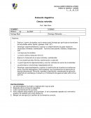 Evaluación diagnóstica Ciencias naturales