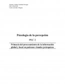 Primacía del procesamiento de la información global y local en patrones visuales jerárquicos