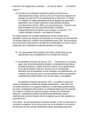 Práctica derecho civil.