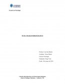 Algunos axiomas exploratorios de la comunicación – Paul Watzlawick