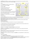 EL ORIGEN DE LOS CUIDADOS