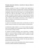 Principales alteraciones femeninas y masculinas de riesgo que afectan la reproducción humana