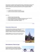 POLITICA AMBIENTAL PICHICHI