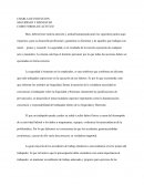 SEGURIDAD Y BIENESTAR COMO FORMA DE ACTITUD