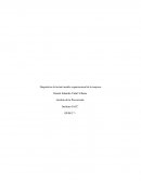 Diagnóstico del actual modelo organizacional de la empresa.