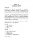 PRÁCTICA Caracterización de Carbohidratos