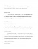 Prepárate para obtener un empleo