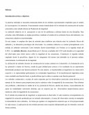 Informe Introducción teórica y objetivos
