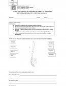 Pueblos originarios - españoles.