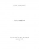 EL PORQUE DE LA INMIGRACION