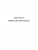 ANALISIS E INTERPRETACION DE RESULTADOS.