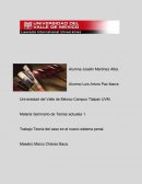 Trabajo Teoría del caso en el nuevo sistema penal.