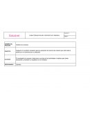 FORMATO DE CATEGORIZACION