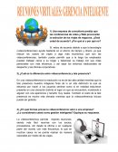 CASO REUNIONES VIRTUALES