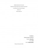 Agricultura urbana. Huerto Familiar