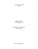 CULTURAS SUBURBANAS Ensayo