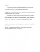 LA HERRAMIENTA ADECUADA.