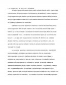 LAS SUCESIONES DE FIGURAS Y NÚMEROS