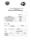 Lluvia acida - Ensayo