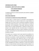La Corrupción en el Gobierno Sus Causas y Motivaciones