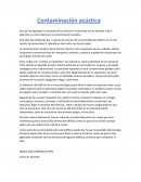 Contaminación acústica.