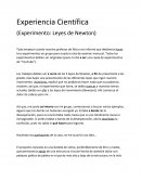 Experiencia Científica (Experimento: Leyes de Newton)