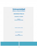 Abierta y a Distancia de México