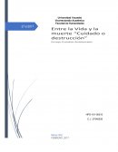 Vicerrectorado Académico