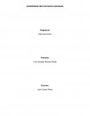 VISION PANORAMICA DE LA MACROECONOMIA La producción y el Empleo