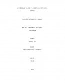 Accion psicosocial y salud. Aporte individual