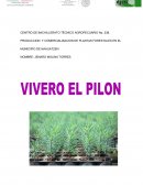 PRODUCCION Y COMERCIALISACION DE PLANTAS FORESTALES EN EL MUNICIPIO DE NAHUATZEN