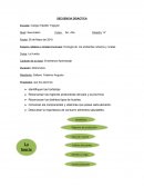 Secuencia didáctica huerta