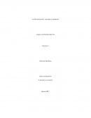 La Administración, concepto y ambiente