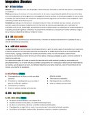 Mimesis: copia y reproducción. Para los griegos el arte servía para el estudio, el arte solo era bueno si se asemejaba a la realidad.