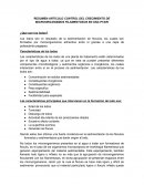 RESUMEN CONTROL