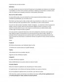 Importancia de las redes sociales en la educación.