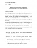 Guia actividad proyecto profesional