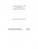 ENTREVISTA A LIDER DEL ELN (a) GABINO