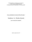 Ensayo problemáticas en materia de Datos Personales.