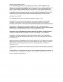 ¿Qué es la Ruta de Mejora Escolar?