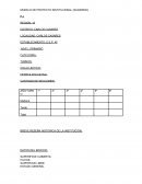 MODELO DE PROYECTO INSTITUCIONAL (SUGERIDO)