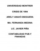 CONTABILIDAD PUB.Y FINANZAS Crisis de 1994