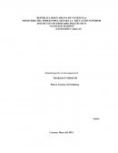 Marco teórico el problema