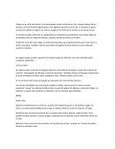 Se sugiere poder estimular el lenguaje expresivo articulatorio de Gaspar a través de la lectura de cuentos, interrogación de láminas y canto de canciones. También reforzar el lenguaje comprensivo a través de órdenes simples como: pásame el vaso, tr