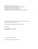 Siembra de huerto organophonico